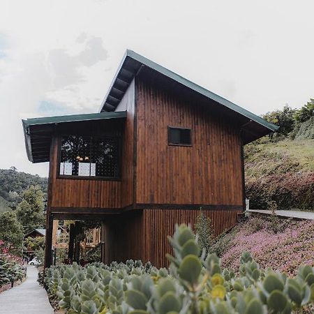 Lauraceas Lodge San Gerardo de Dota Eksteriør billede