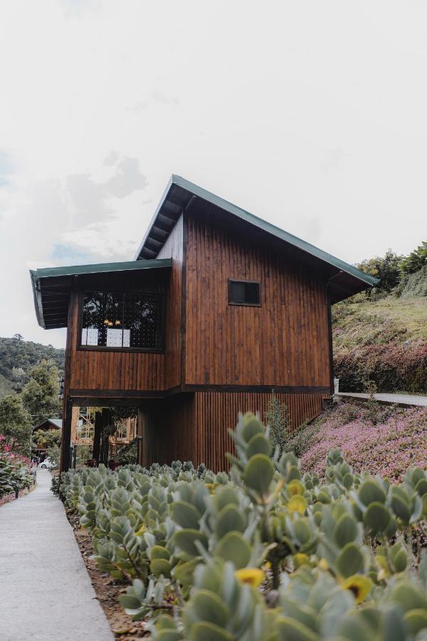 Lauraceas Lodge San Gerardo de Dota Eksteriør billede