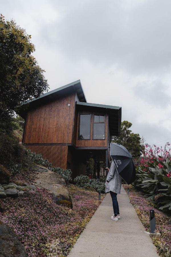 Lauraceas Lodge San Gerardo de Dota Eksteriør billede