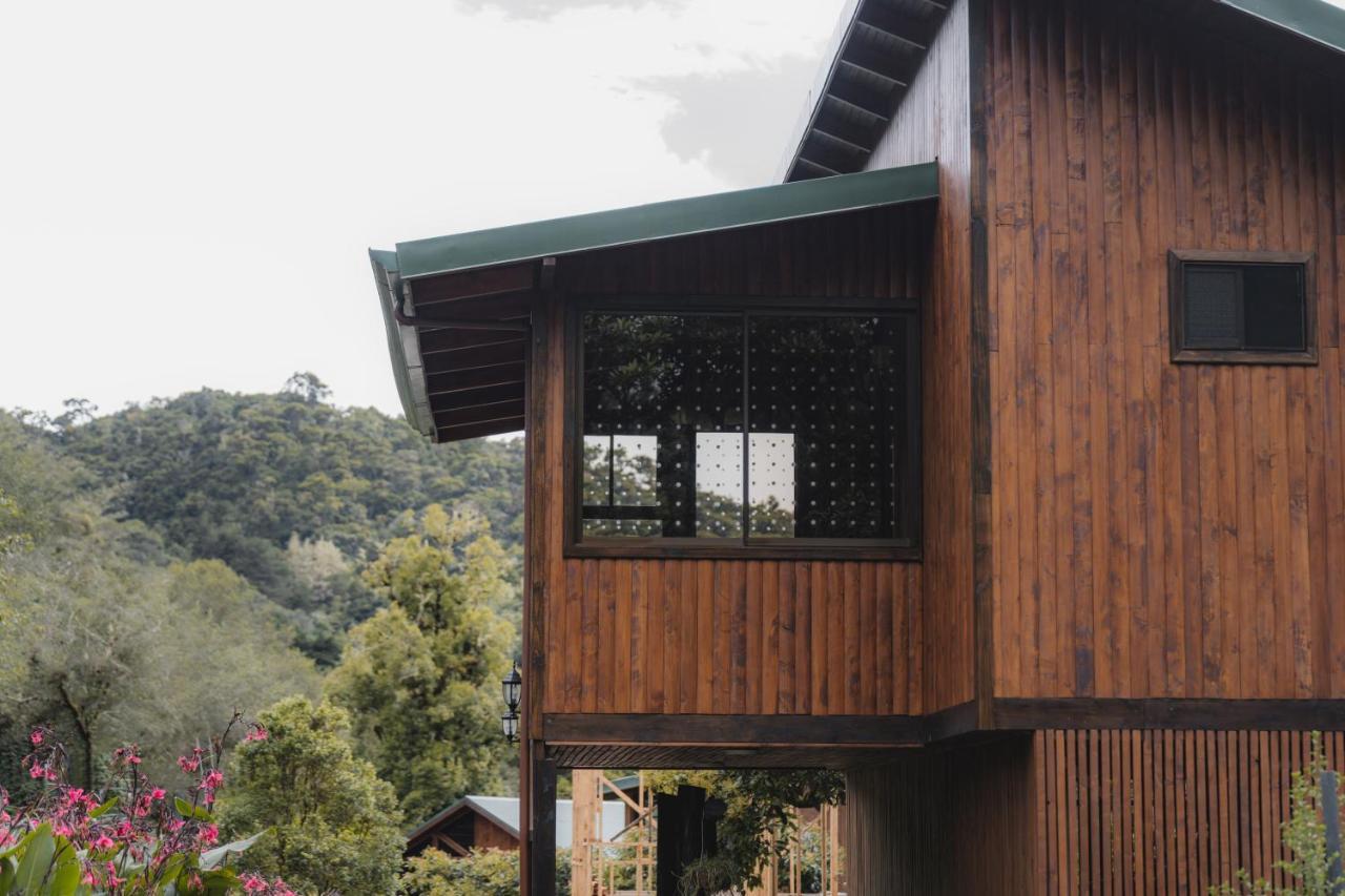 Lauraceas Lodge San Gerardo de Dota Eksteriør billede