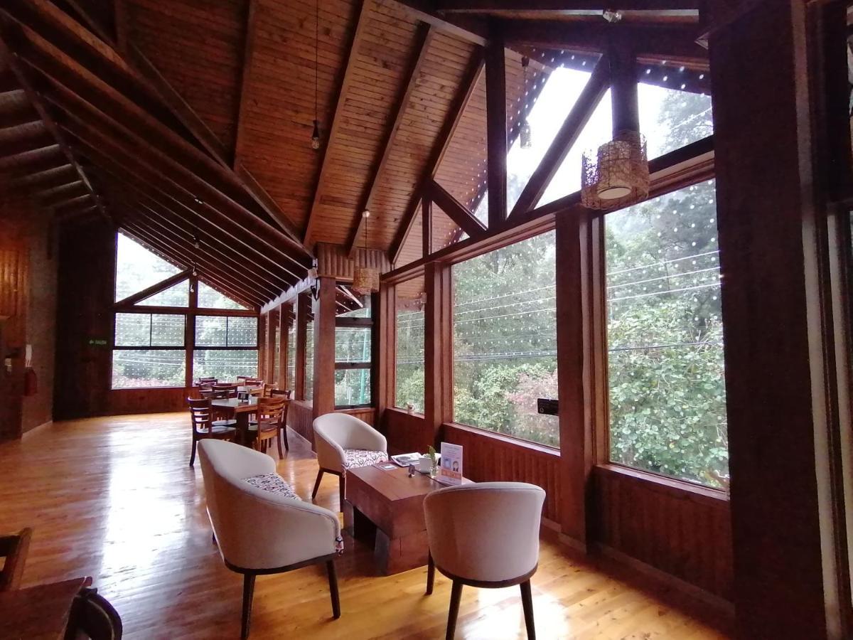 Lauraceas Lodge San Gerardo de Dota Eksteriør billede